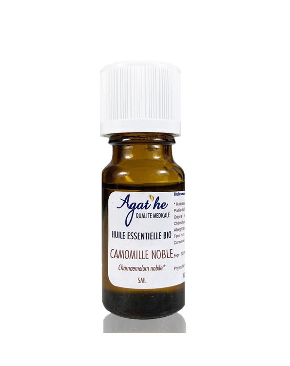 camomille noble.jpg camomille noble.jpg
