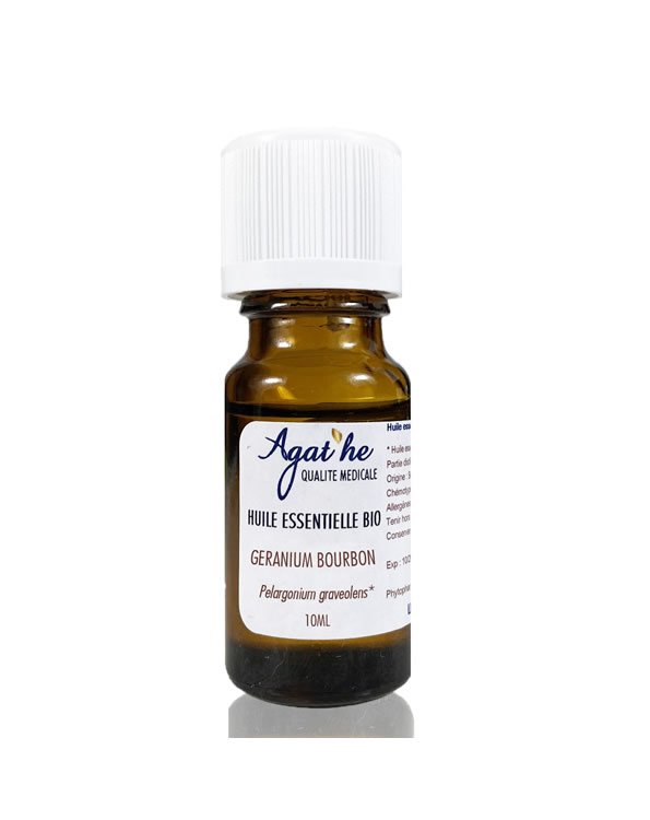 geranium bourbon.jpg geranium bourbon.jpg